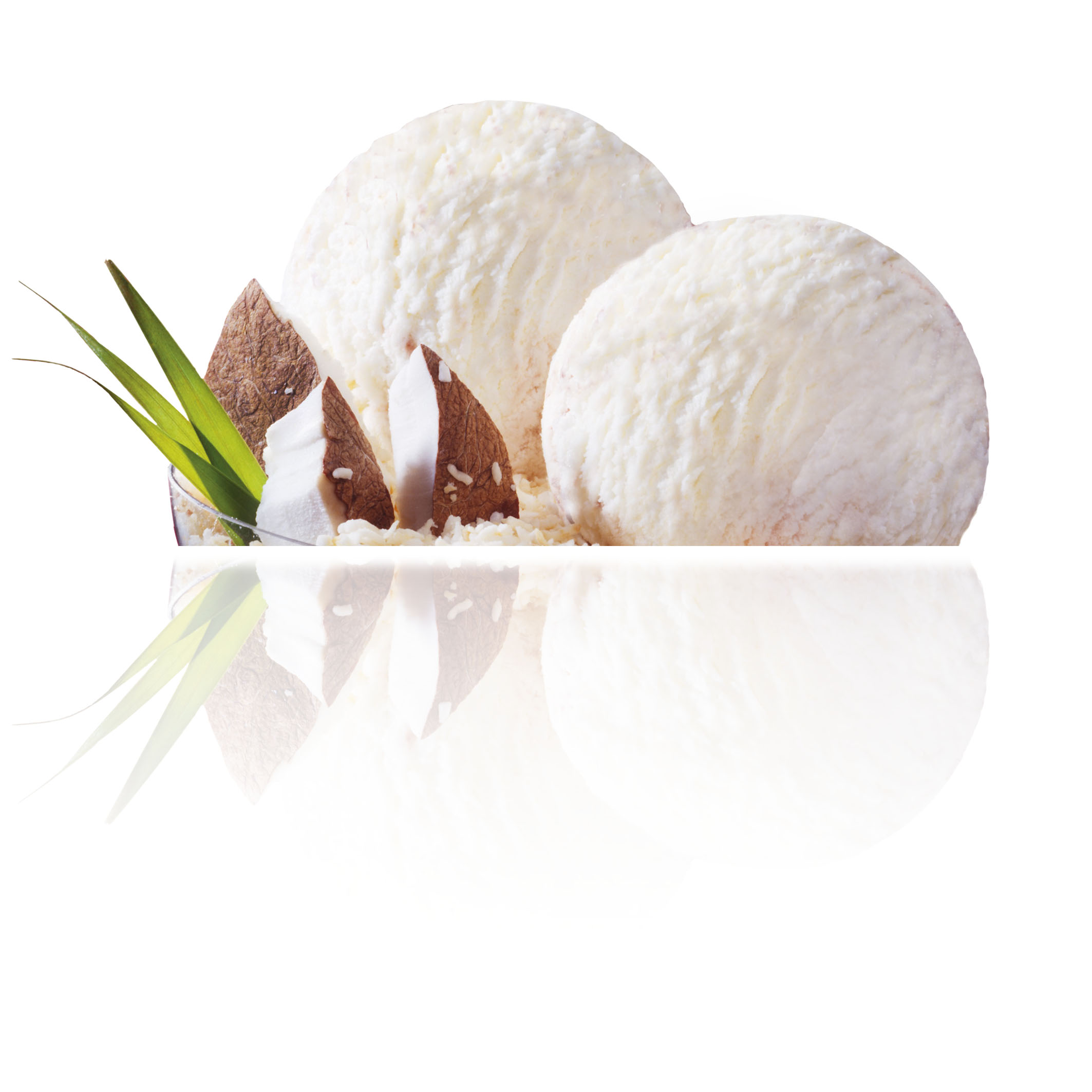 Helado de Coco